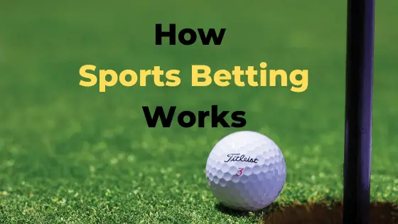 How Sports Betting Works – School Of Bets